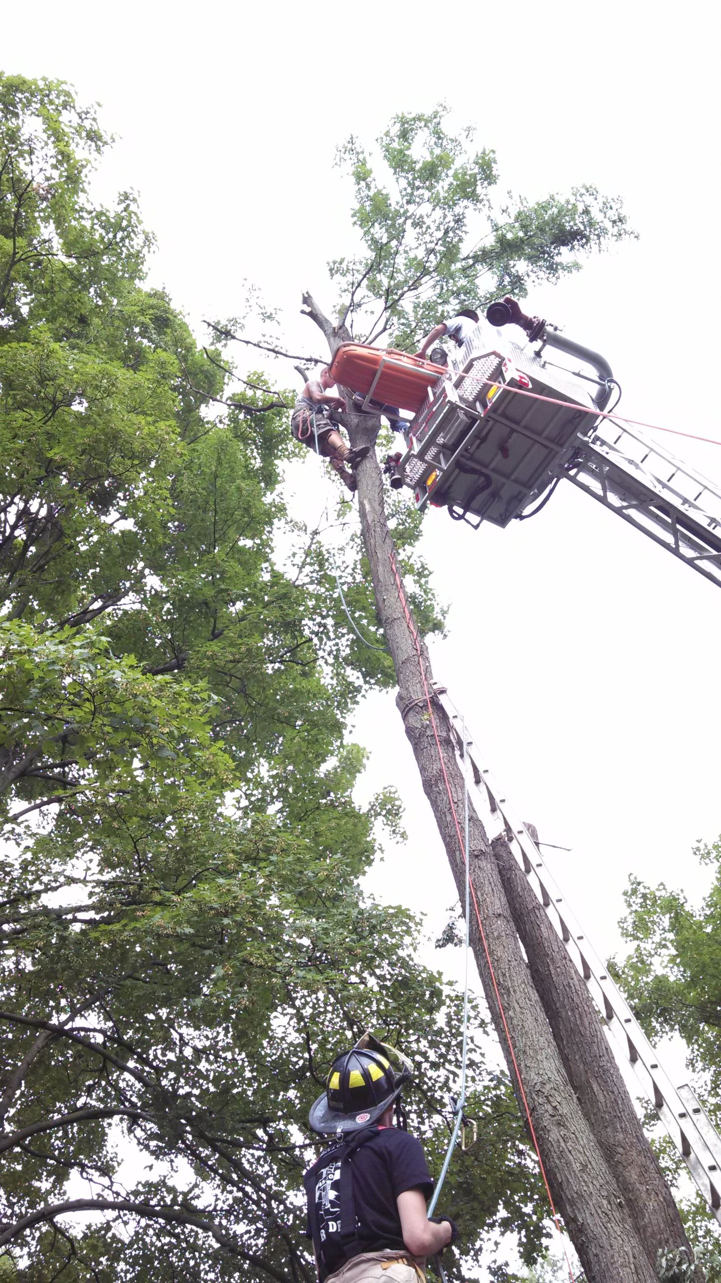 Tree Rescue 70 Feet up in a Tree