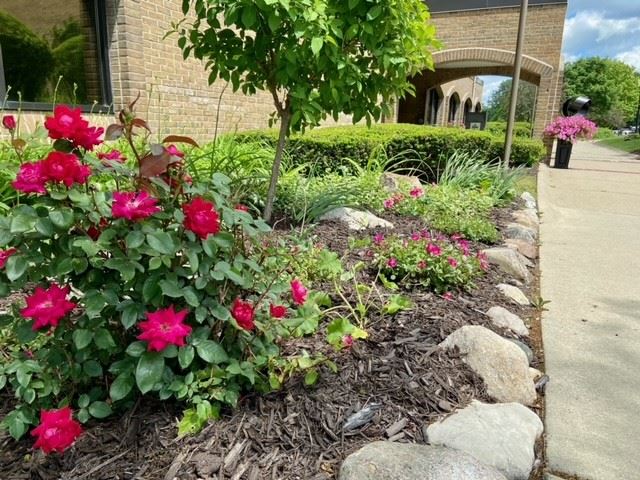 Flowers after volunteers planted them.